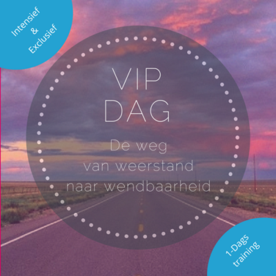 Vip-dag